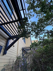 Looking up from the patio