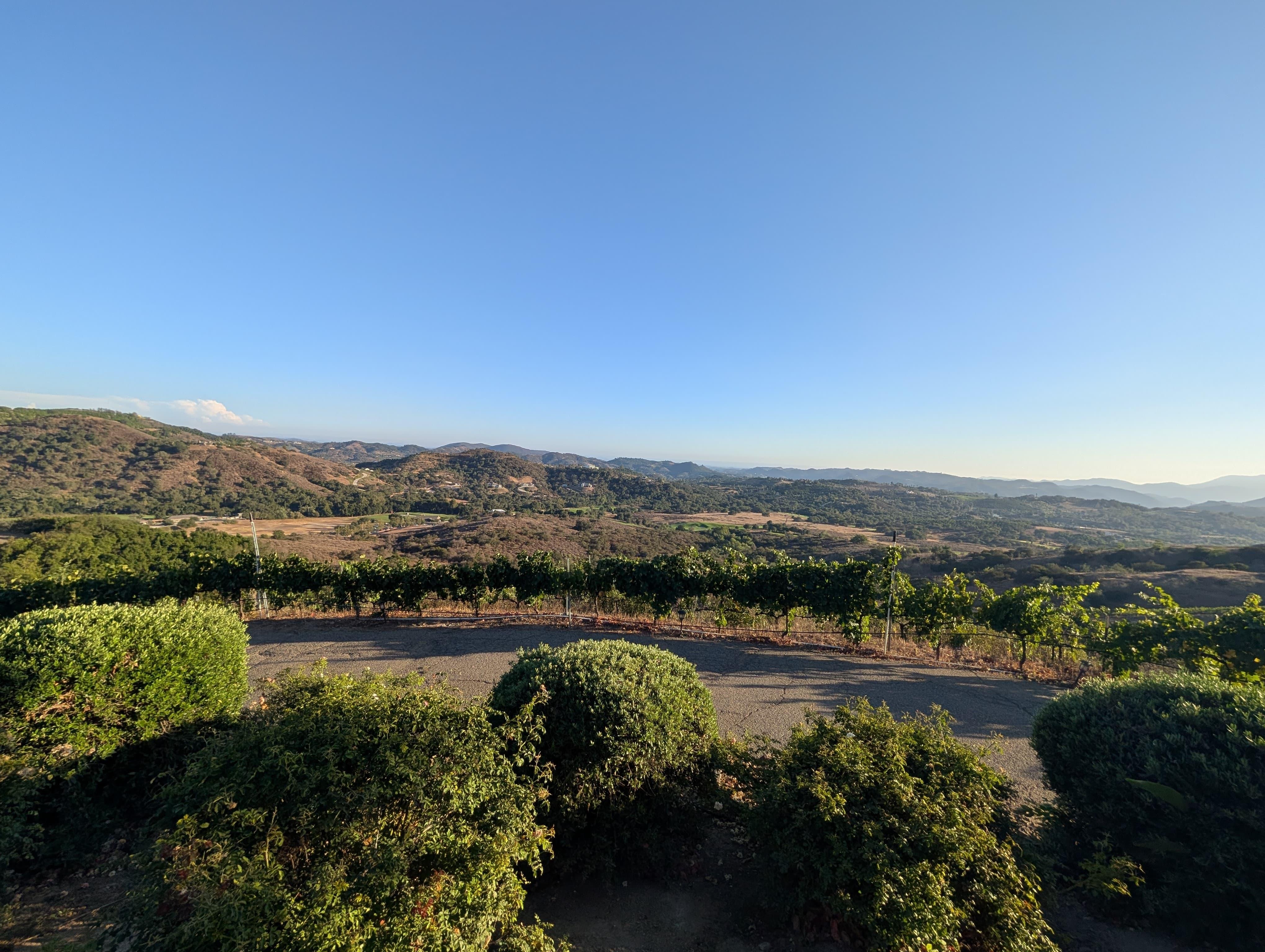 One of the views from the house