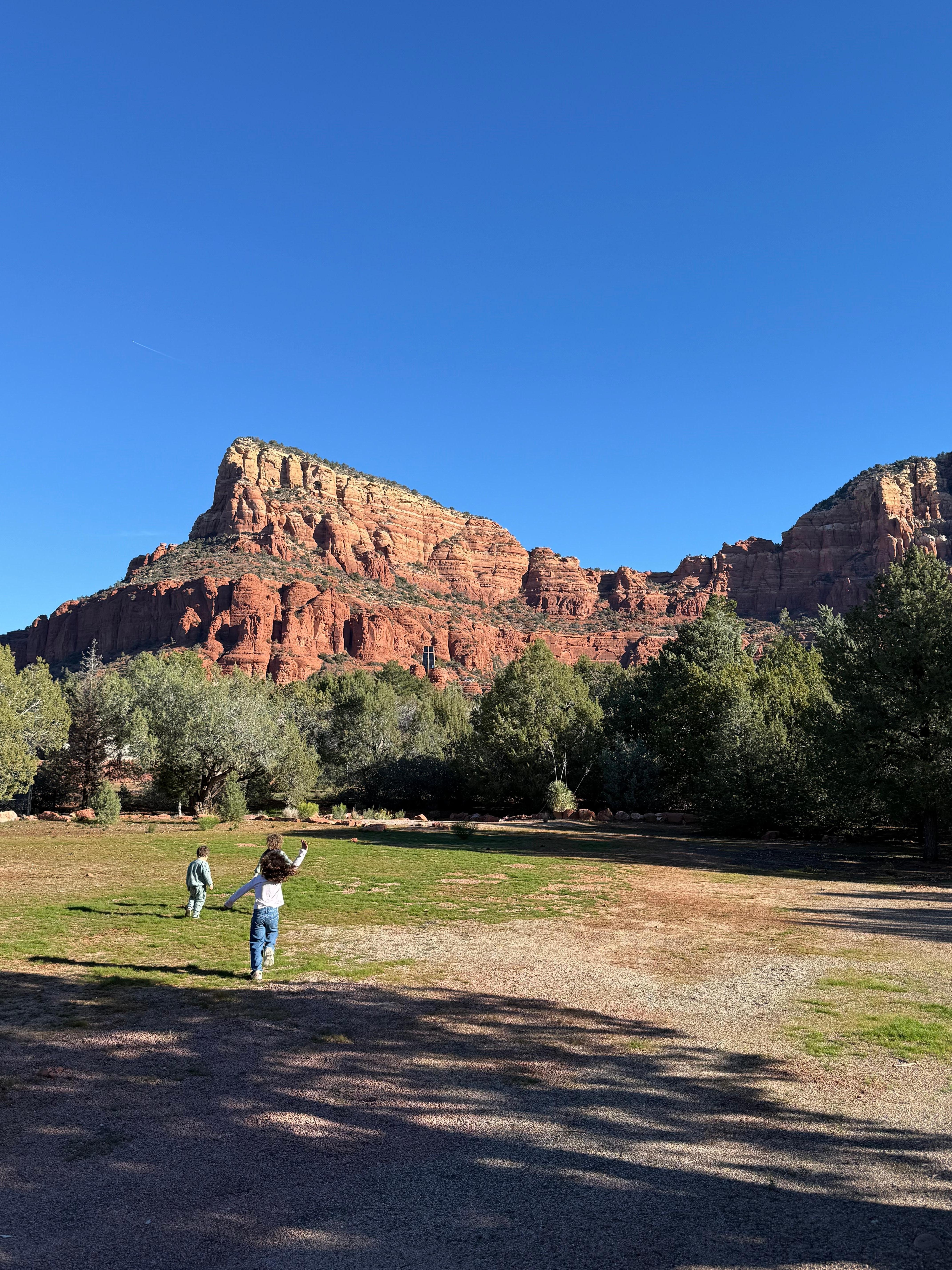 Kids playing in the yard.