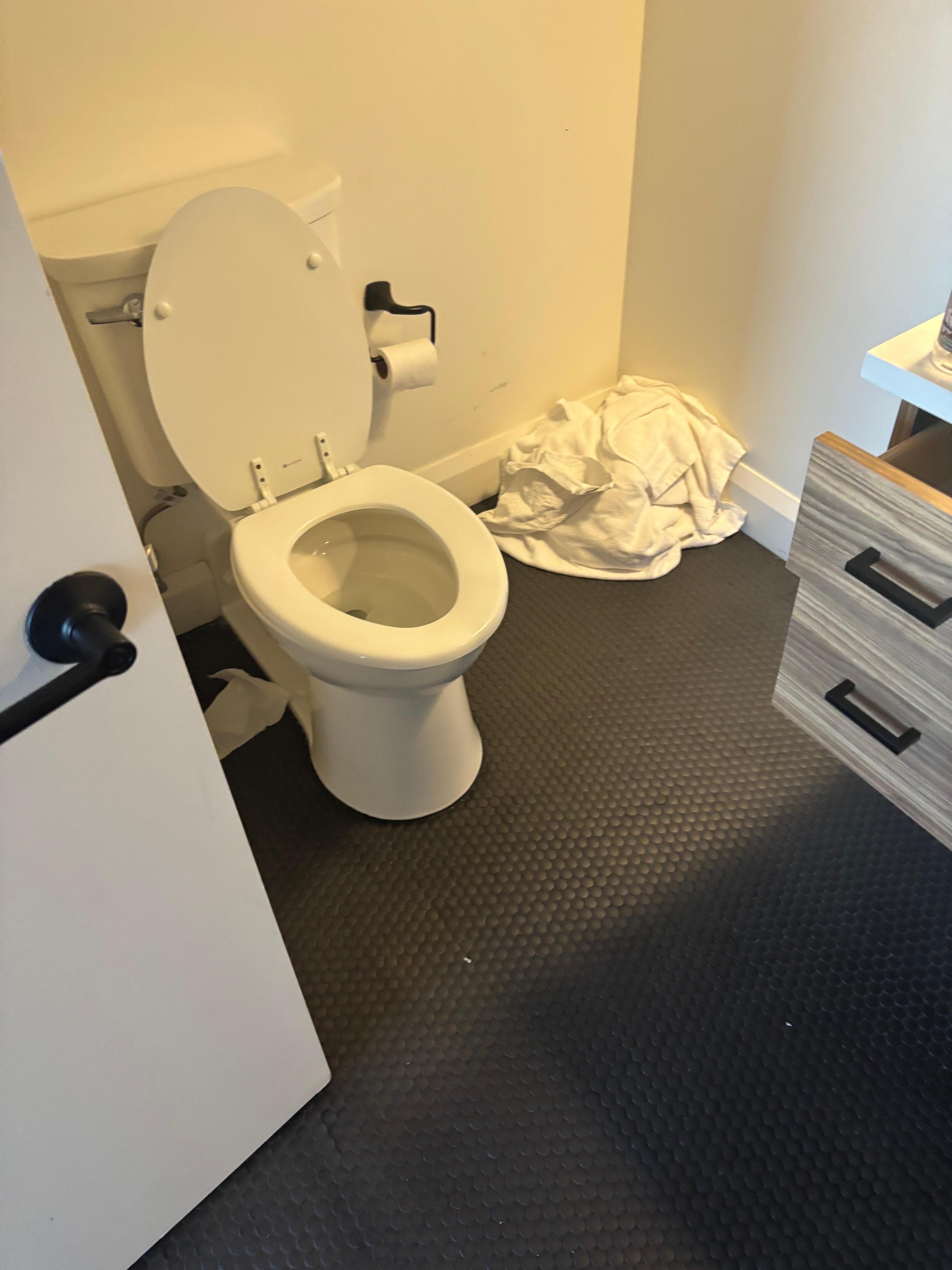 This is what we walked in to