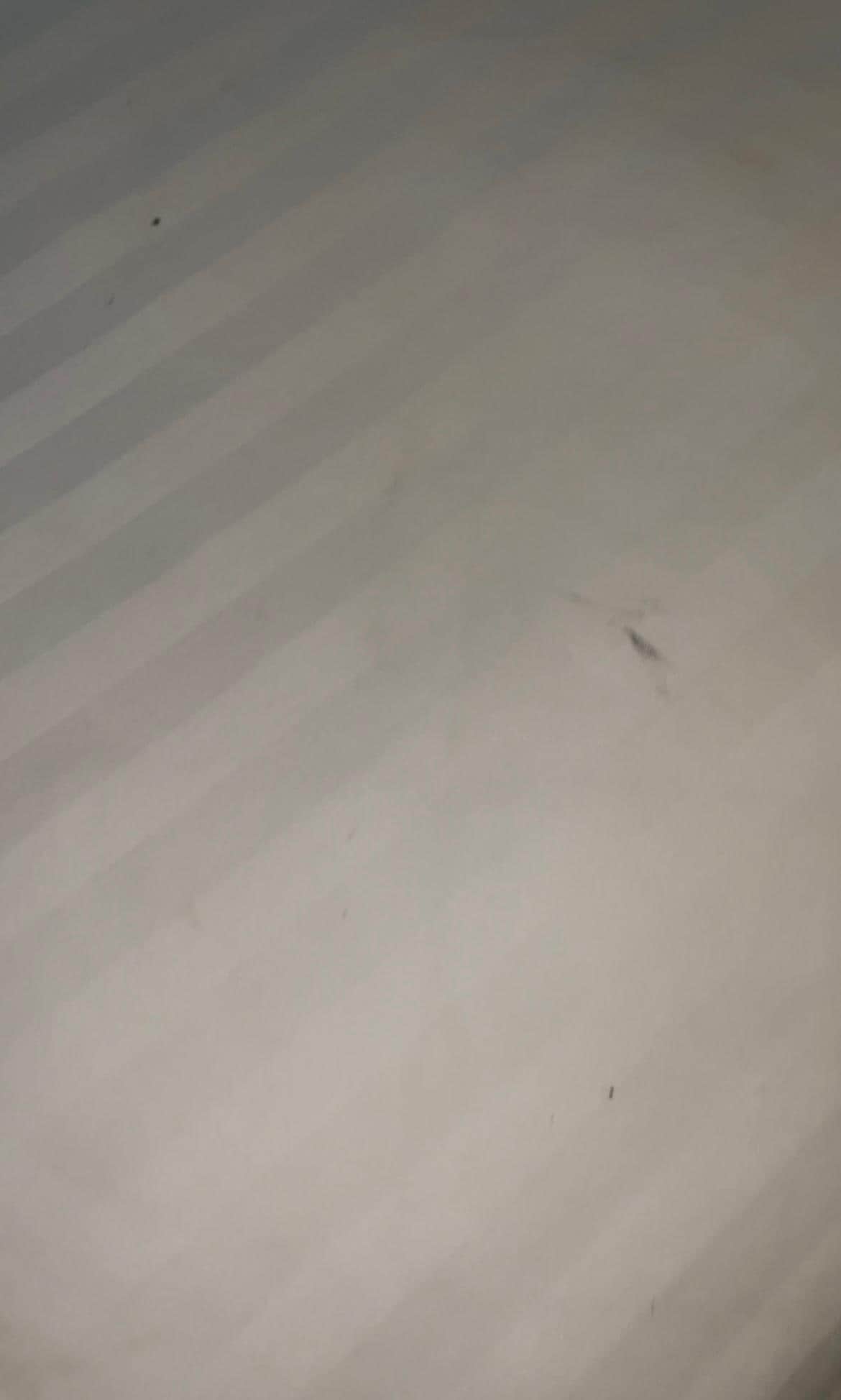 4/5 rooms I saw all sheets were similar like this on either both or one of the double bed rooms.