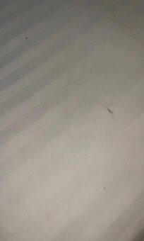 4/5 rooms I saw all sheets were similar like this on either both or one of the double bed rooms.