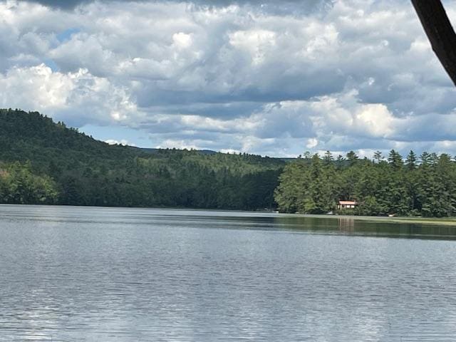 We were the only ones enjoying the pond most days.