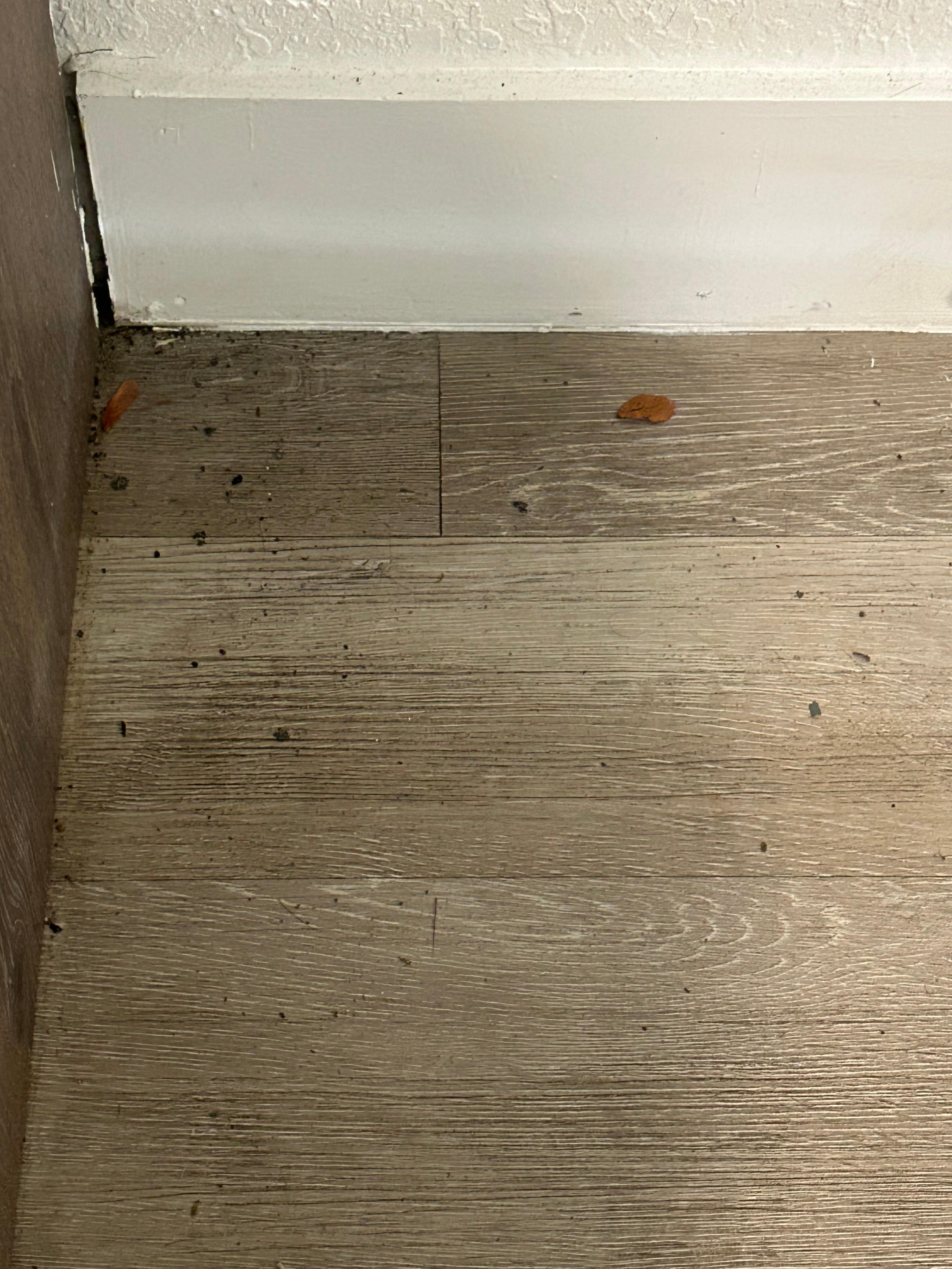 Dirty floors