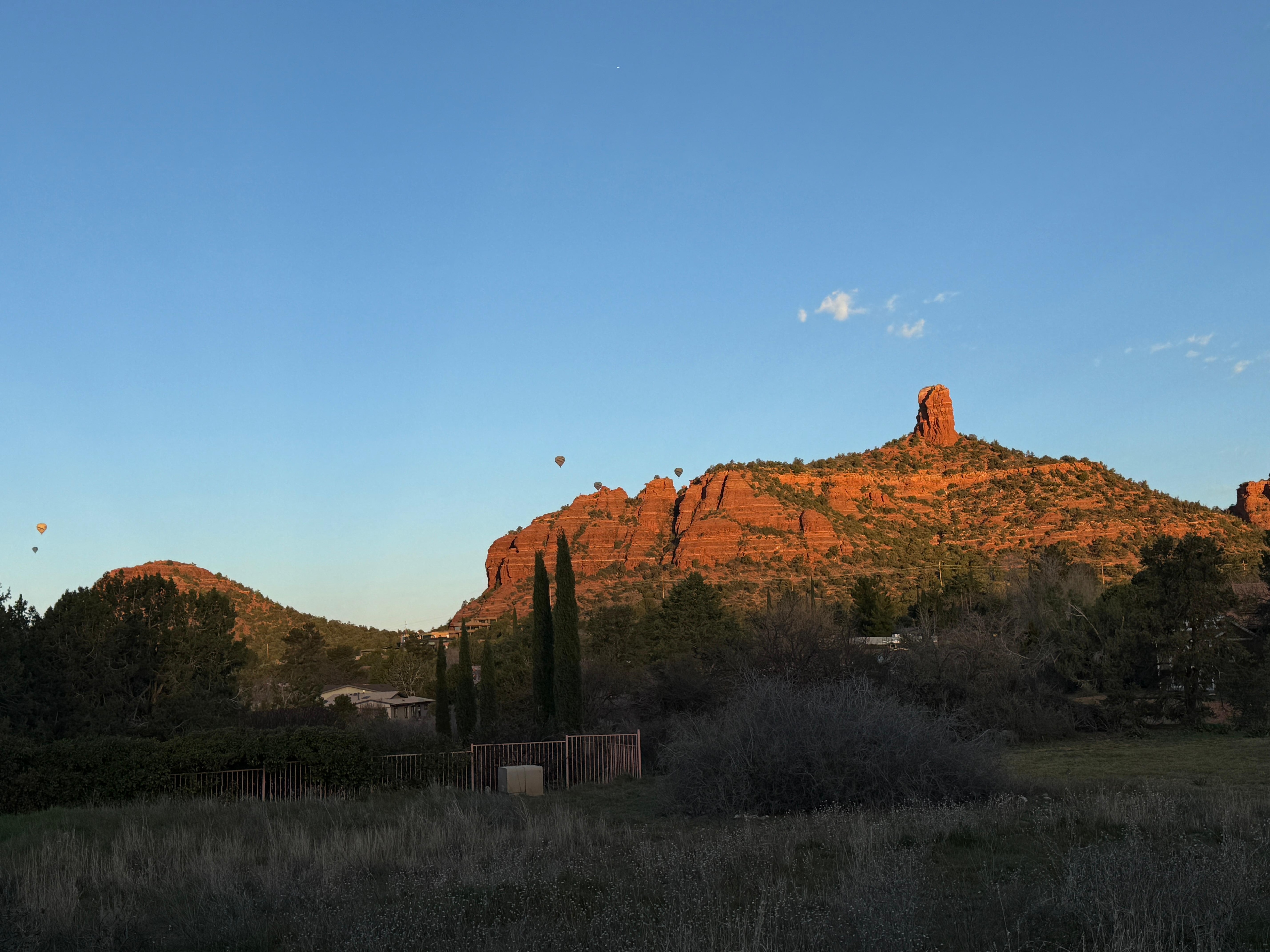 The beautiful view out back!  