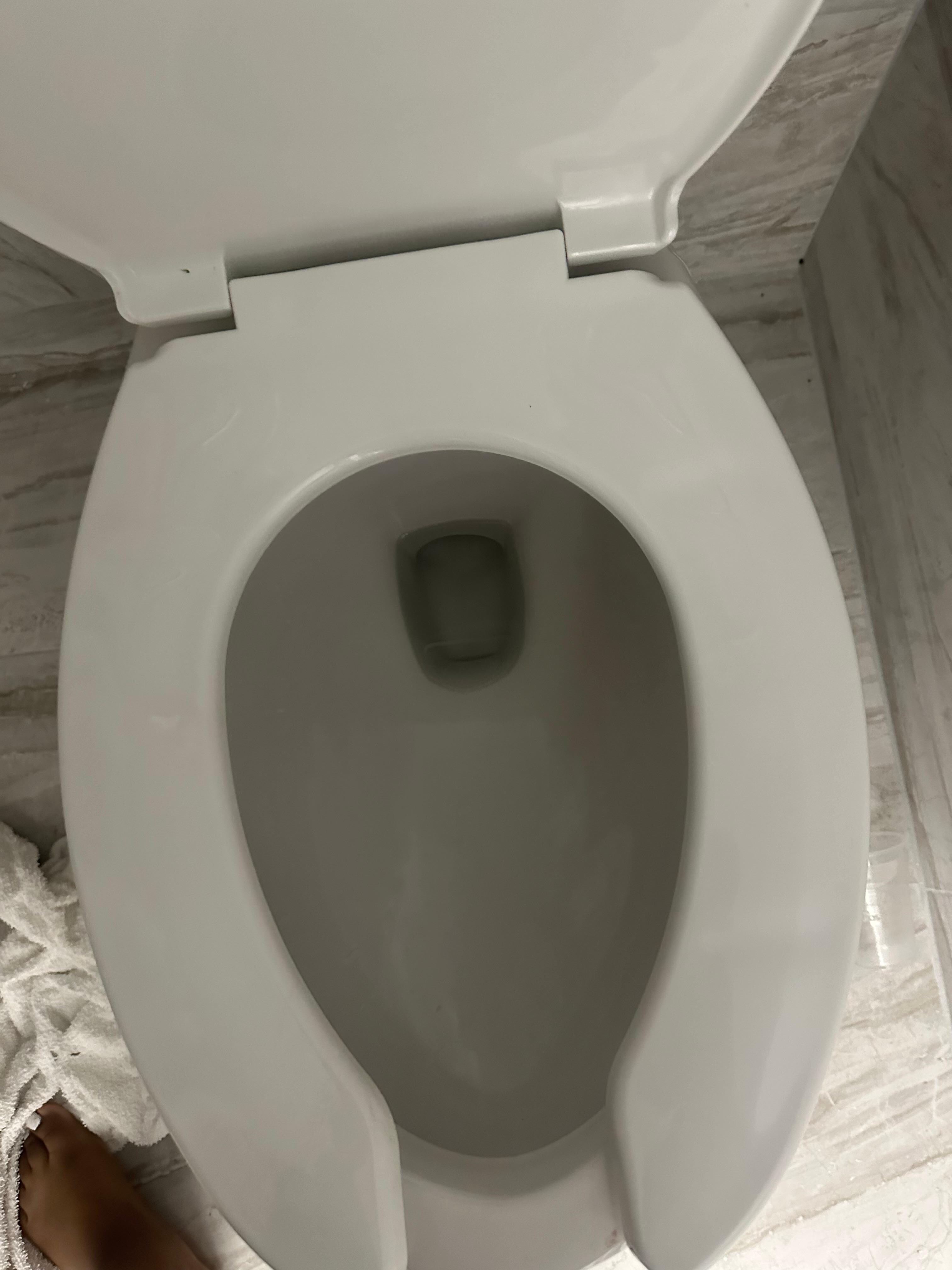 Toilet bowl barely had water in it had to hold the handle down to make sure everything was down 