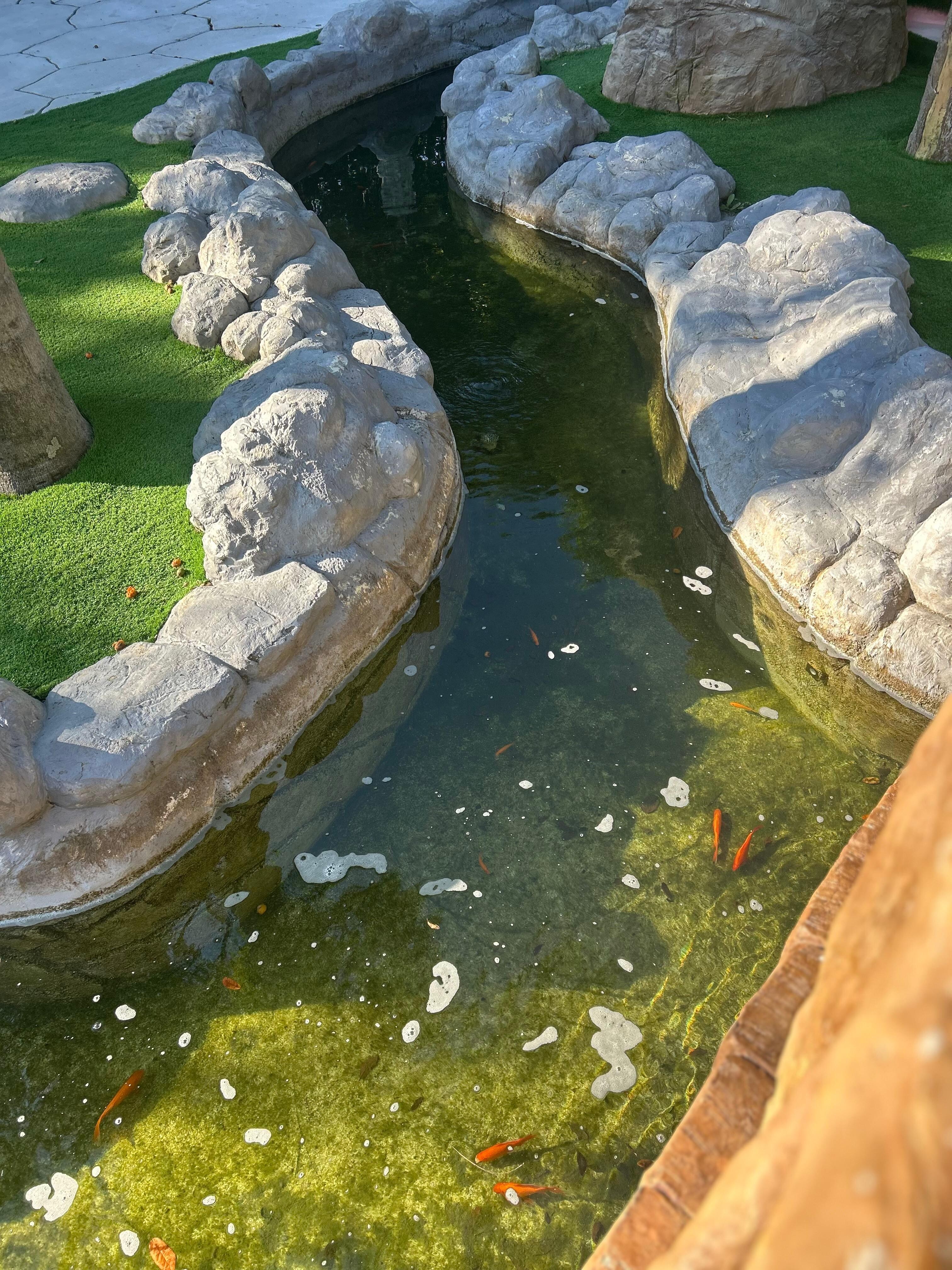 Fish pond surrounding the hot ton area