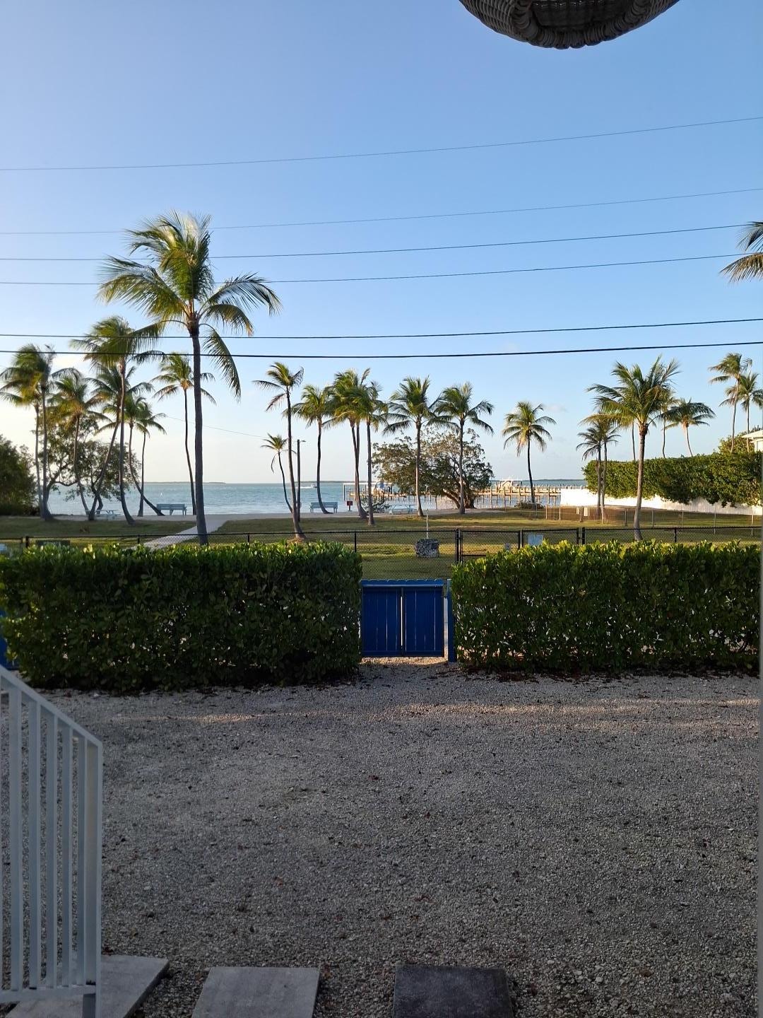 View of park across the street.