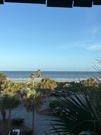 Morning views