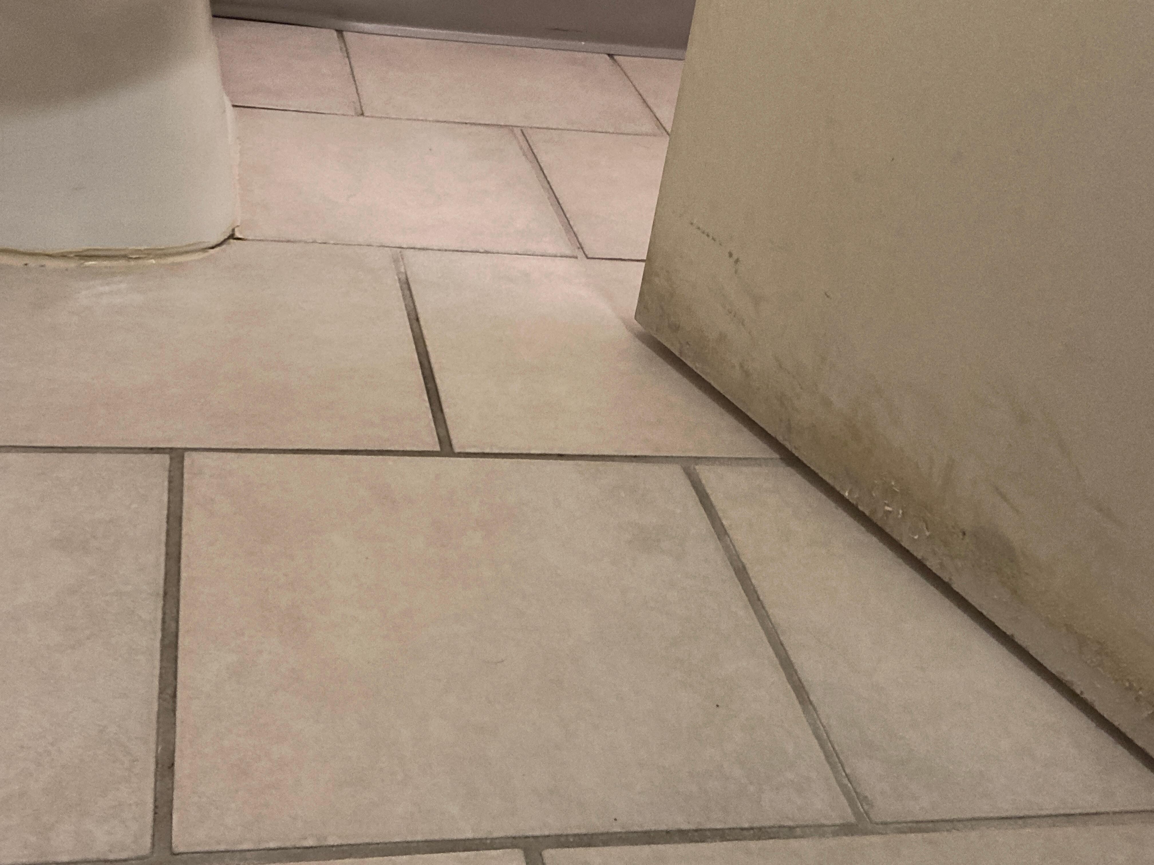 Water damage and mold 