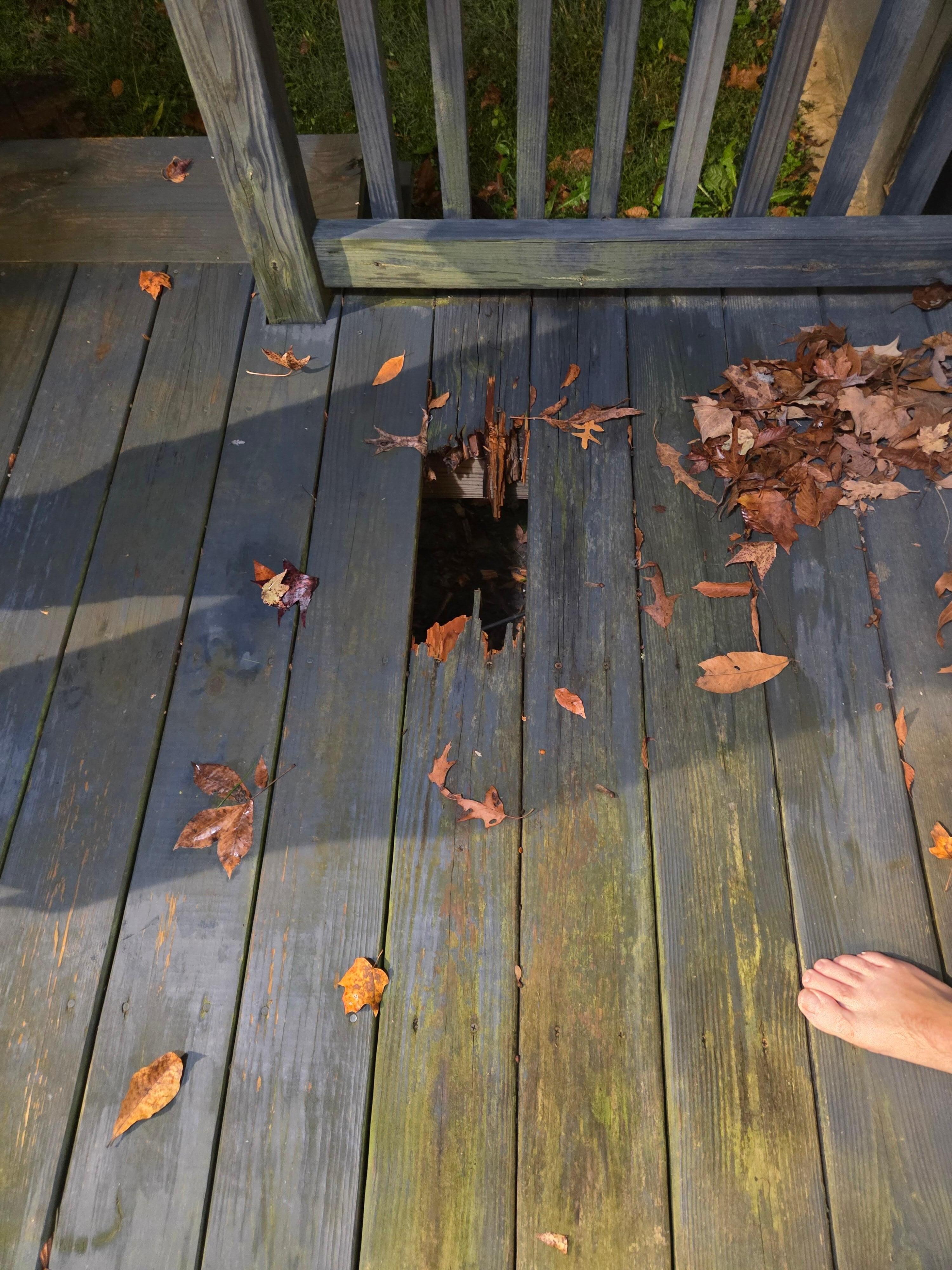 Rotted porch where one of us fell through.