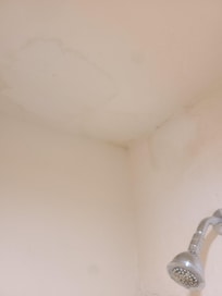 Stains in the shower. I don't think it's mold, but it could have been.