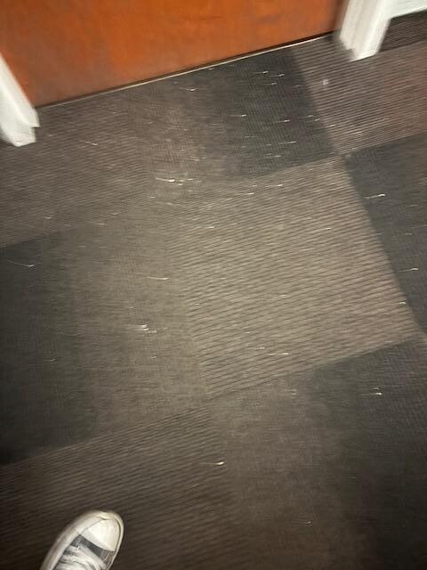 filthy carpets in the hallway