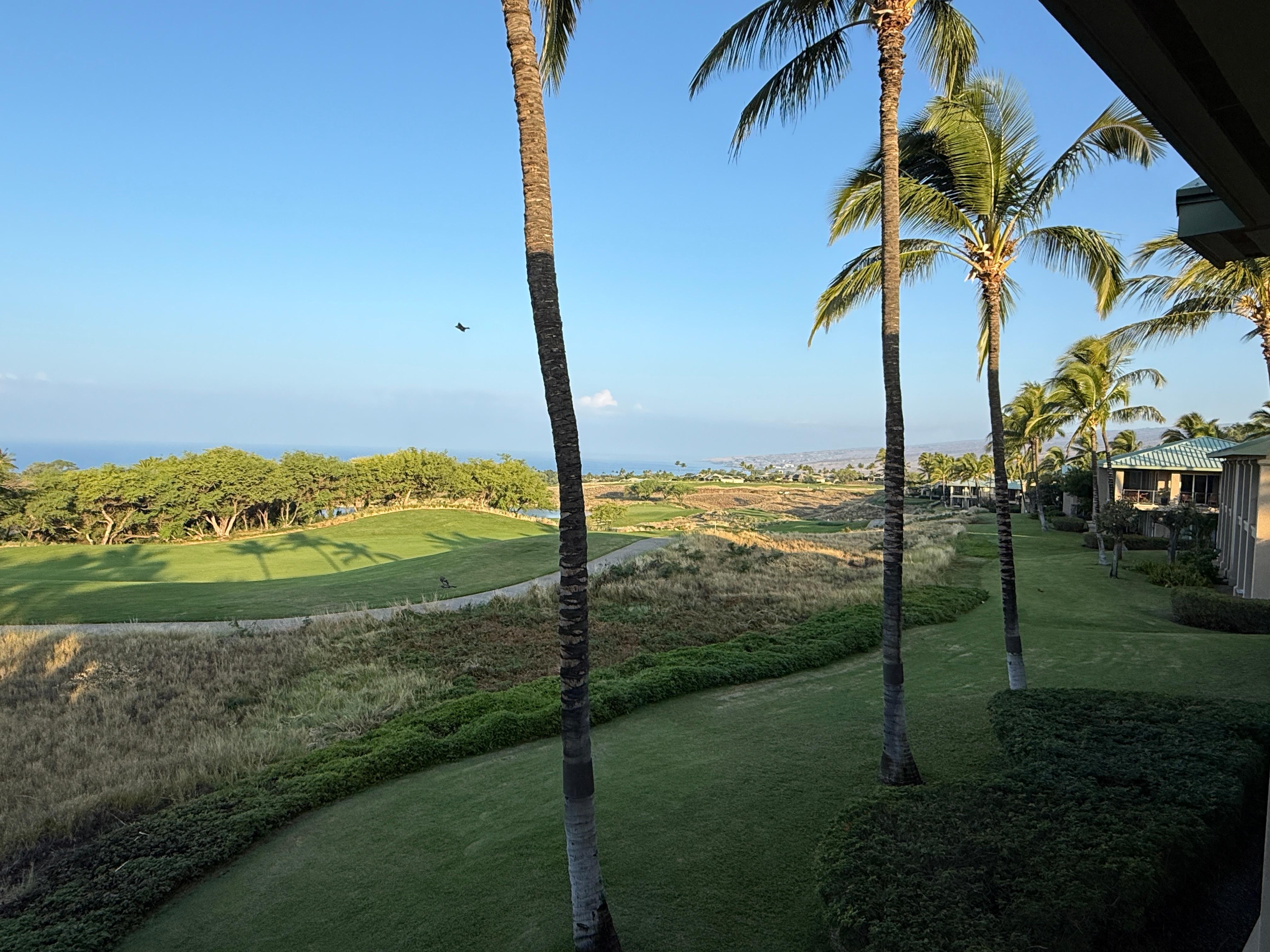 View from the great room