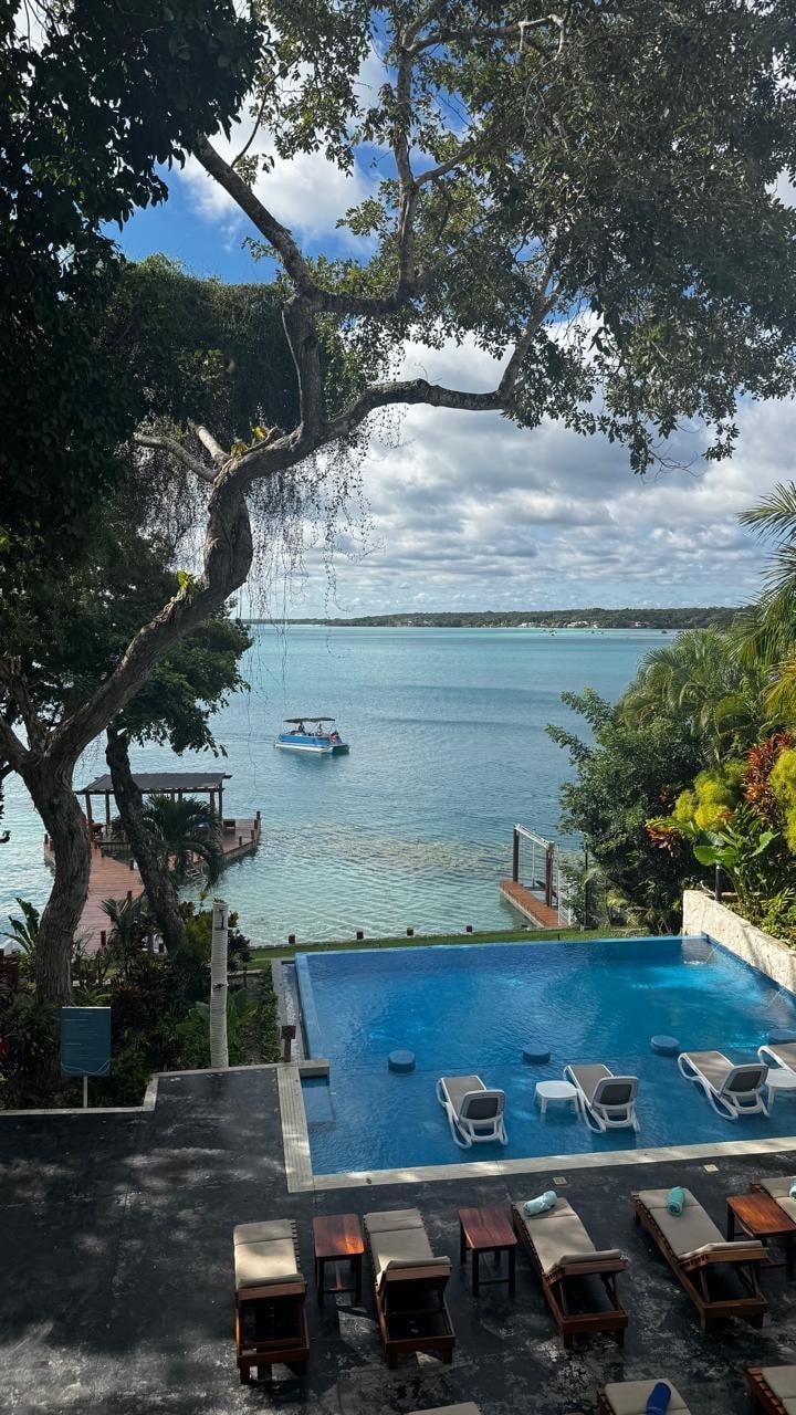 Vista desde el balcón 