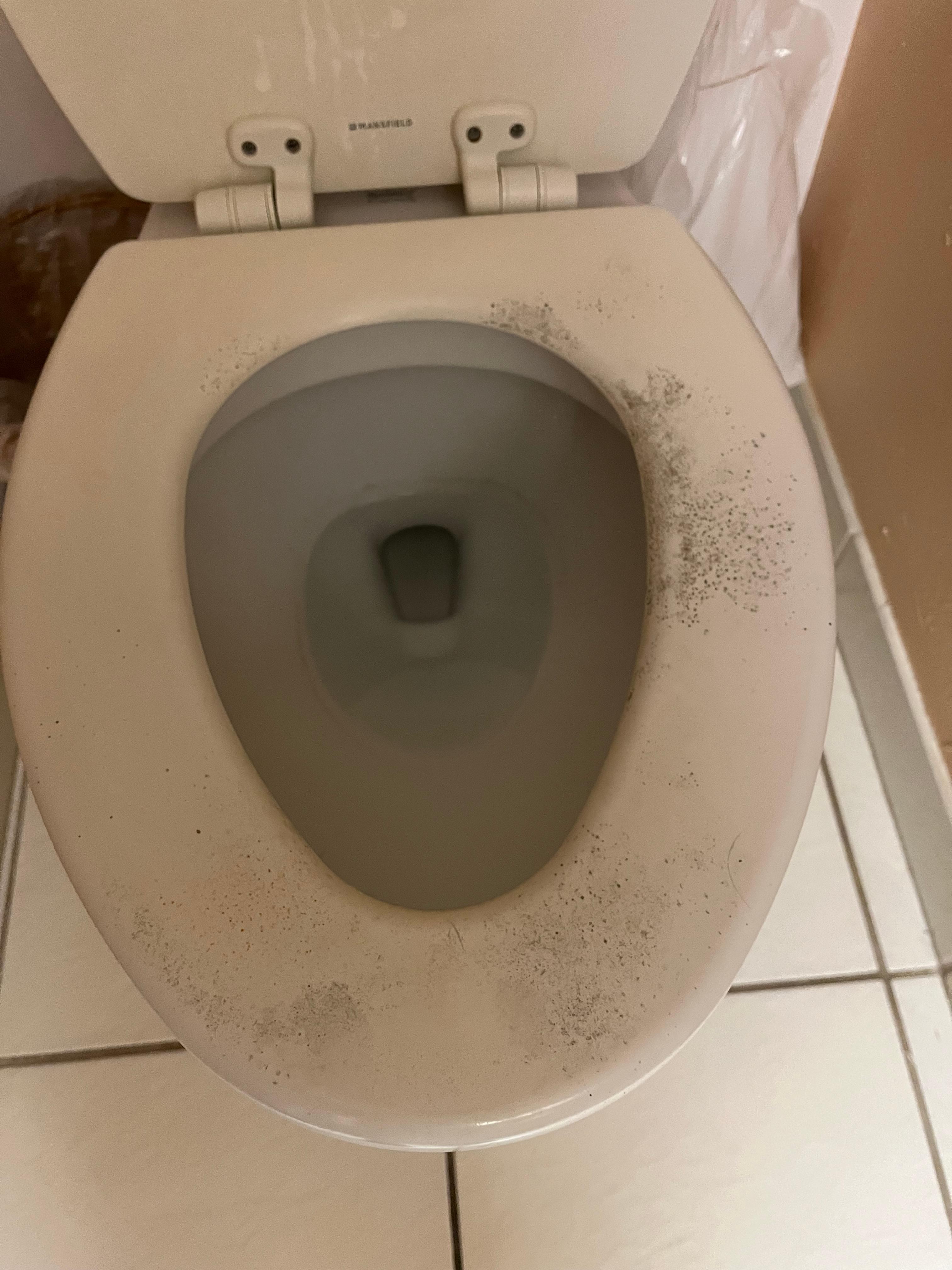 Mold on toilets