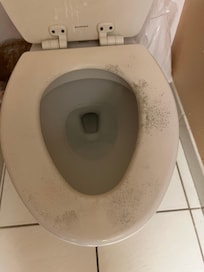 Mold on toilets