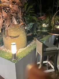 An Incredibly beautiful garden at night and during the day