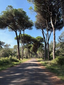 the wall around Lucca