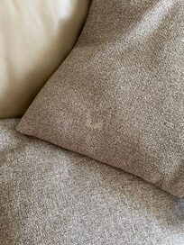 Soiled pillows in living room