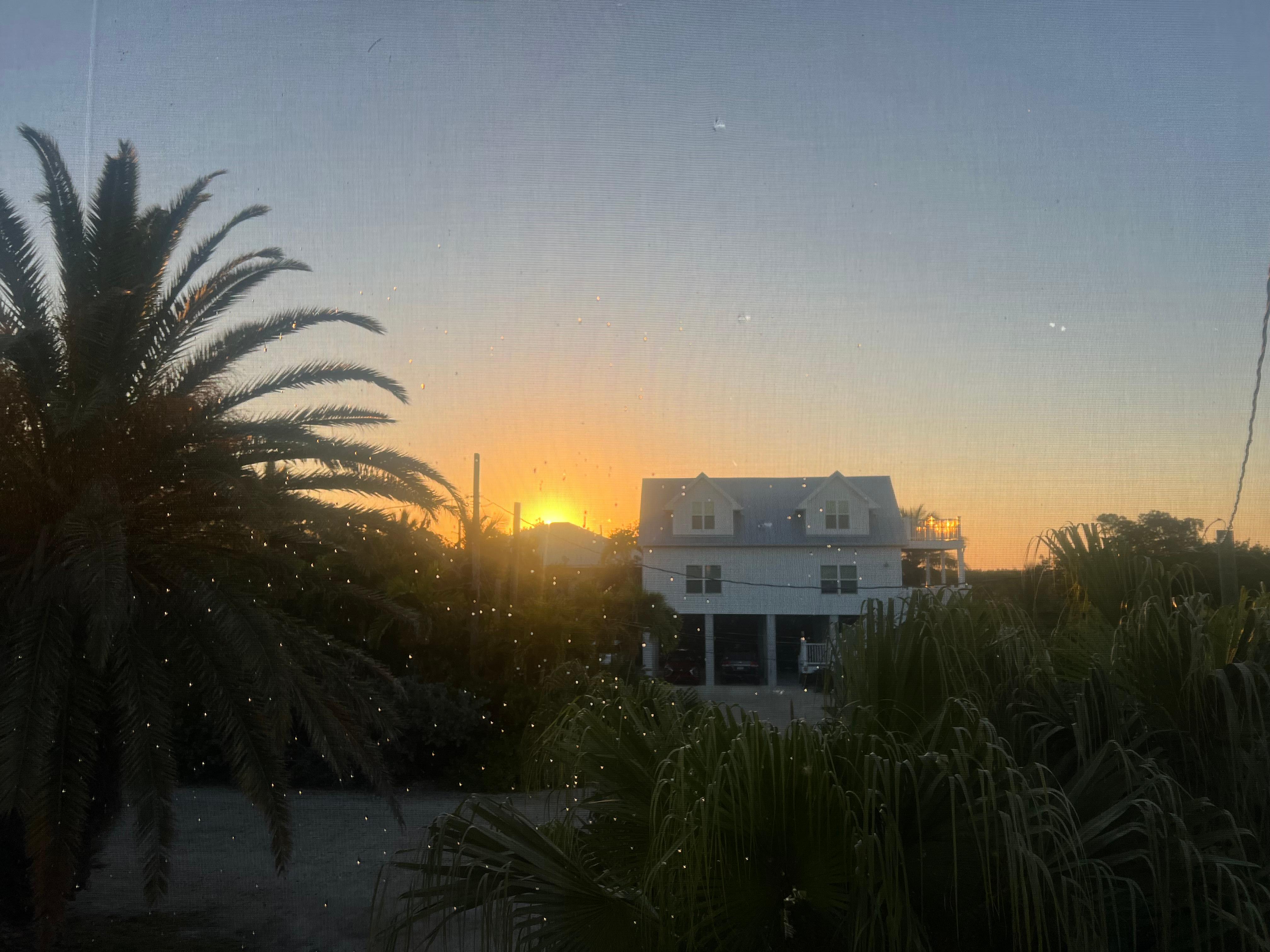 The view of sunrise from the deck
