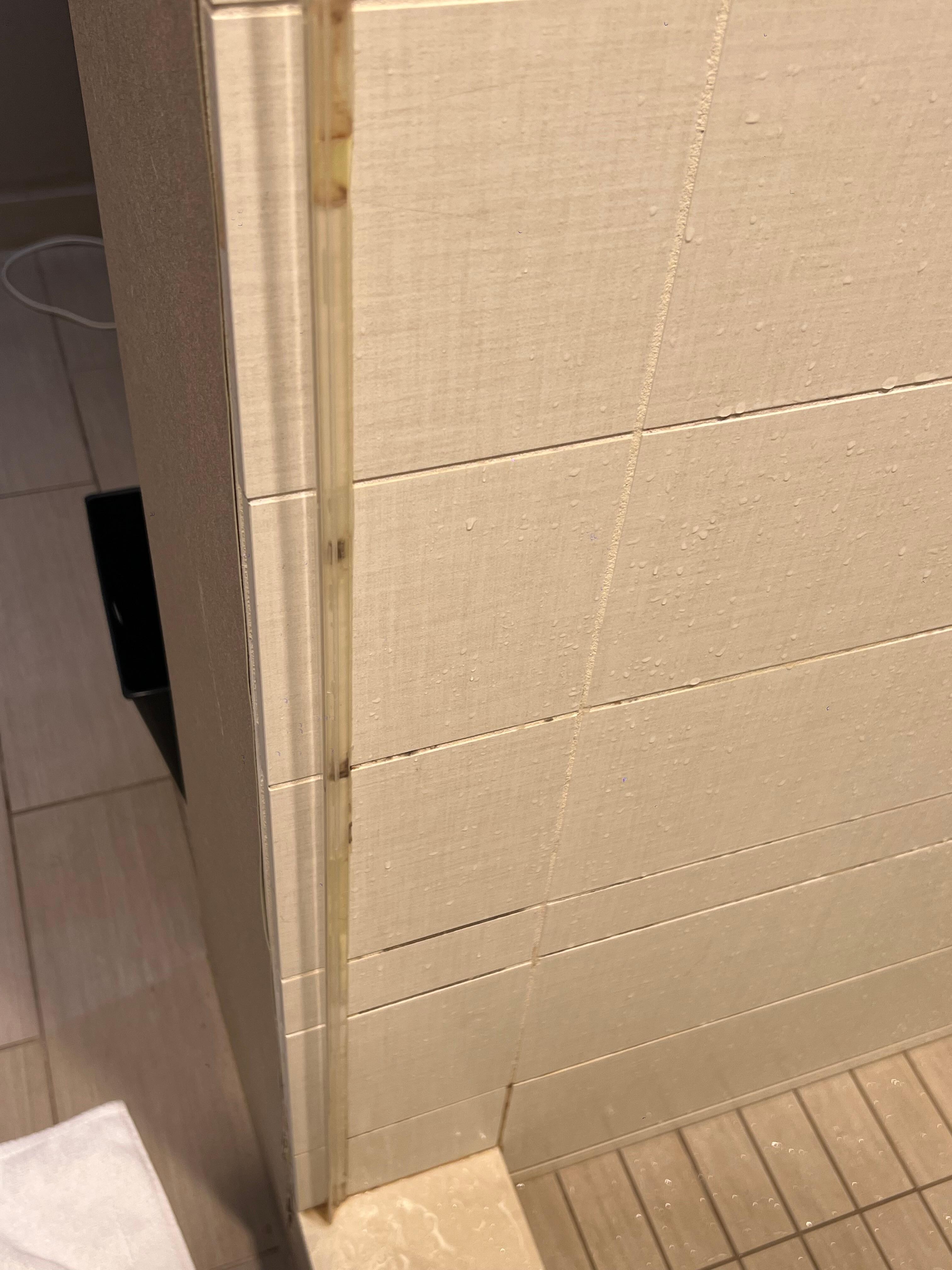 Mold in the shower 