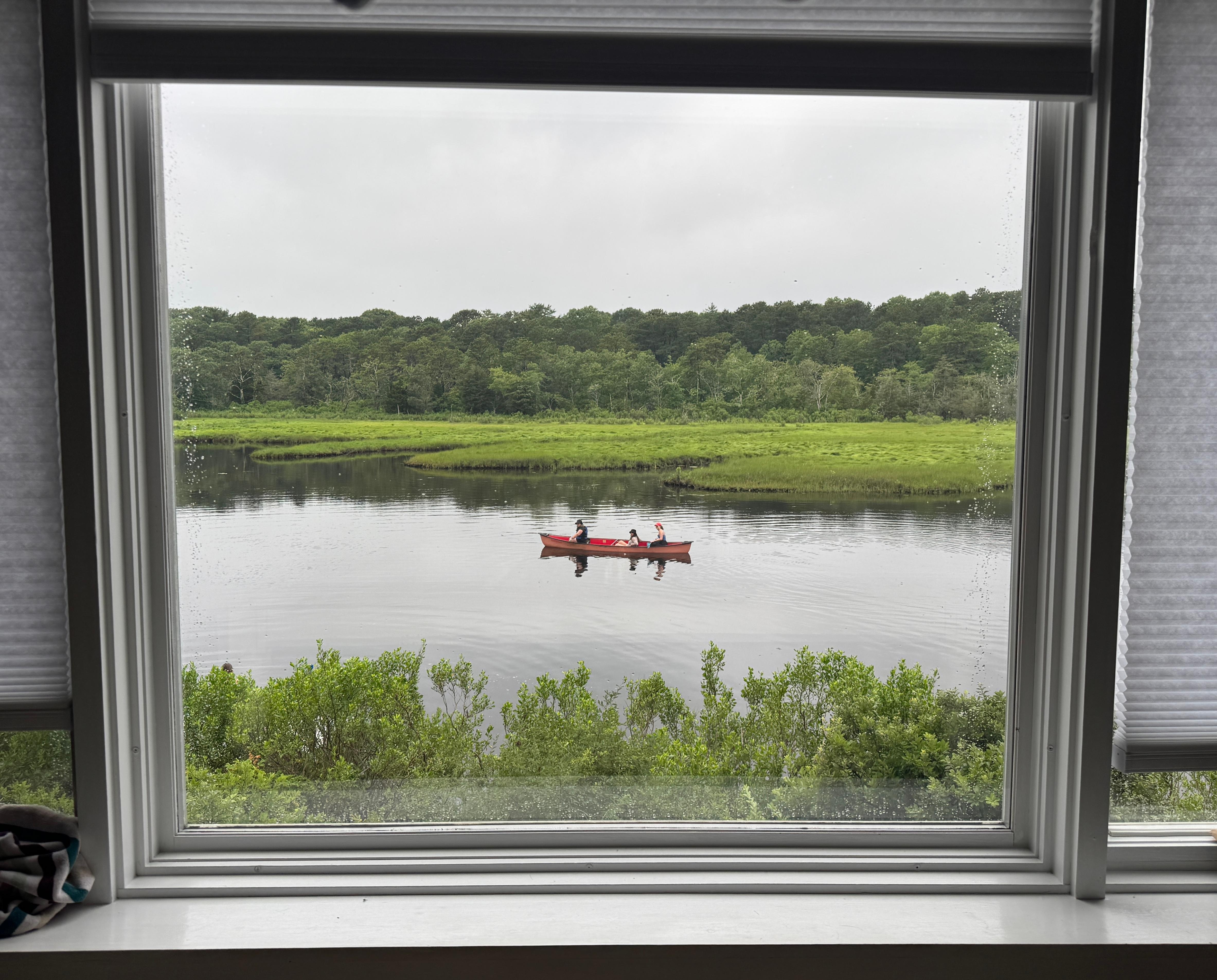 View from inside the home. 