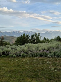 Views from our patio.