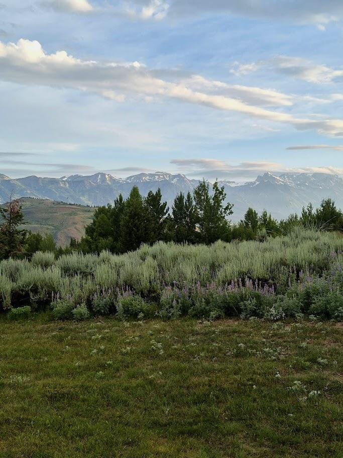 Views from our patio.