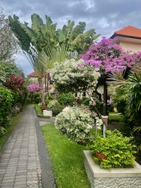 Breathtakingly beautiful gardens