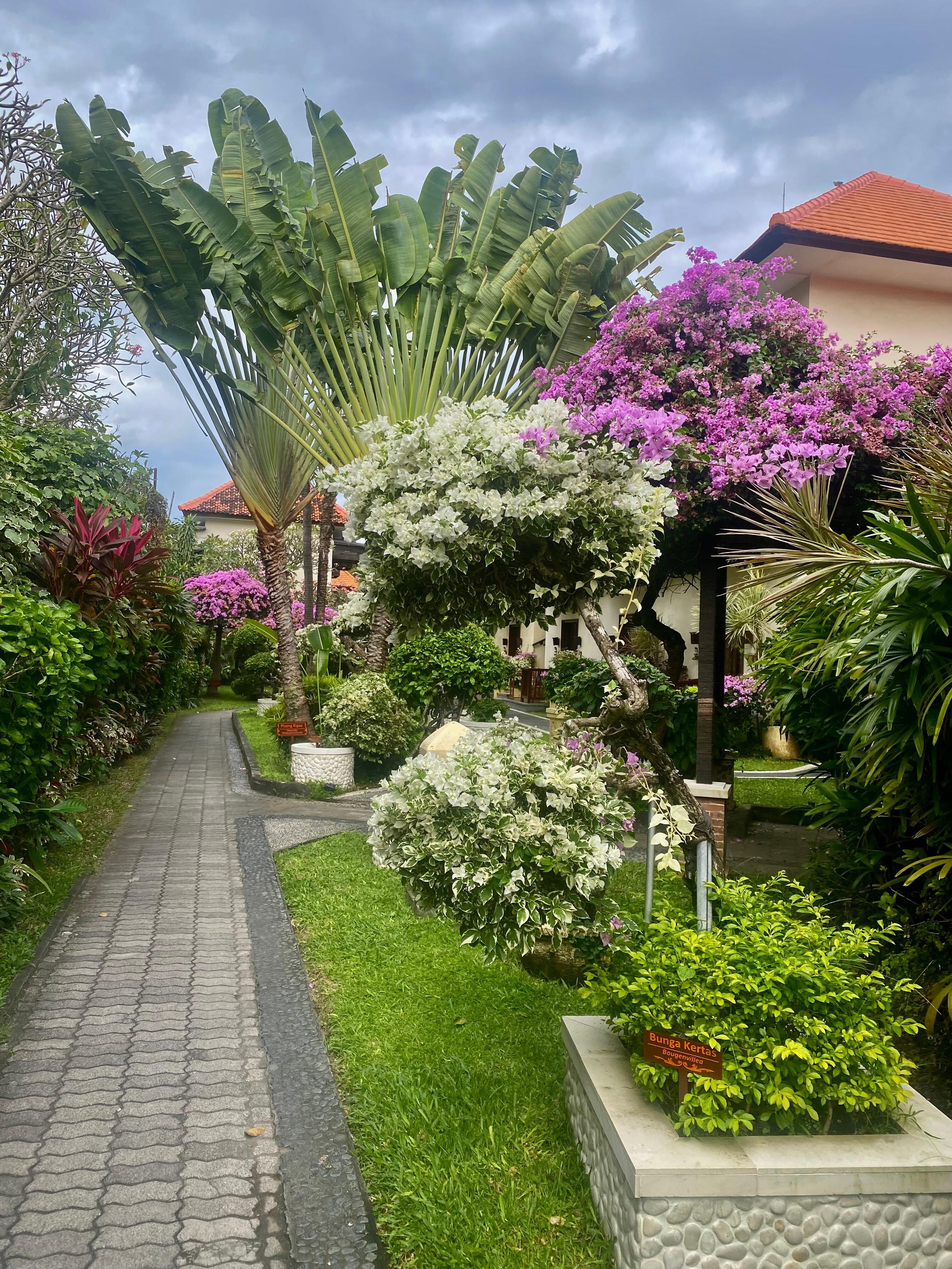 Breathtakingly beautiful gardens 