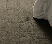 Stain in carpet
Carpet looks filthy