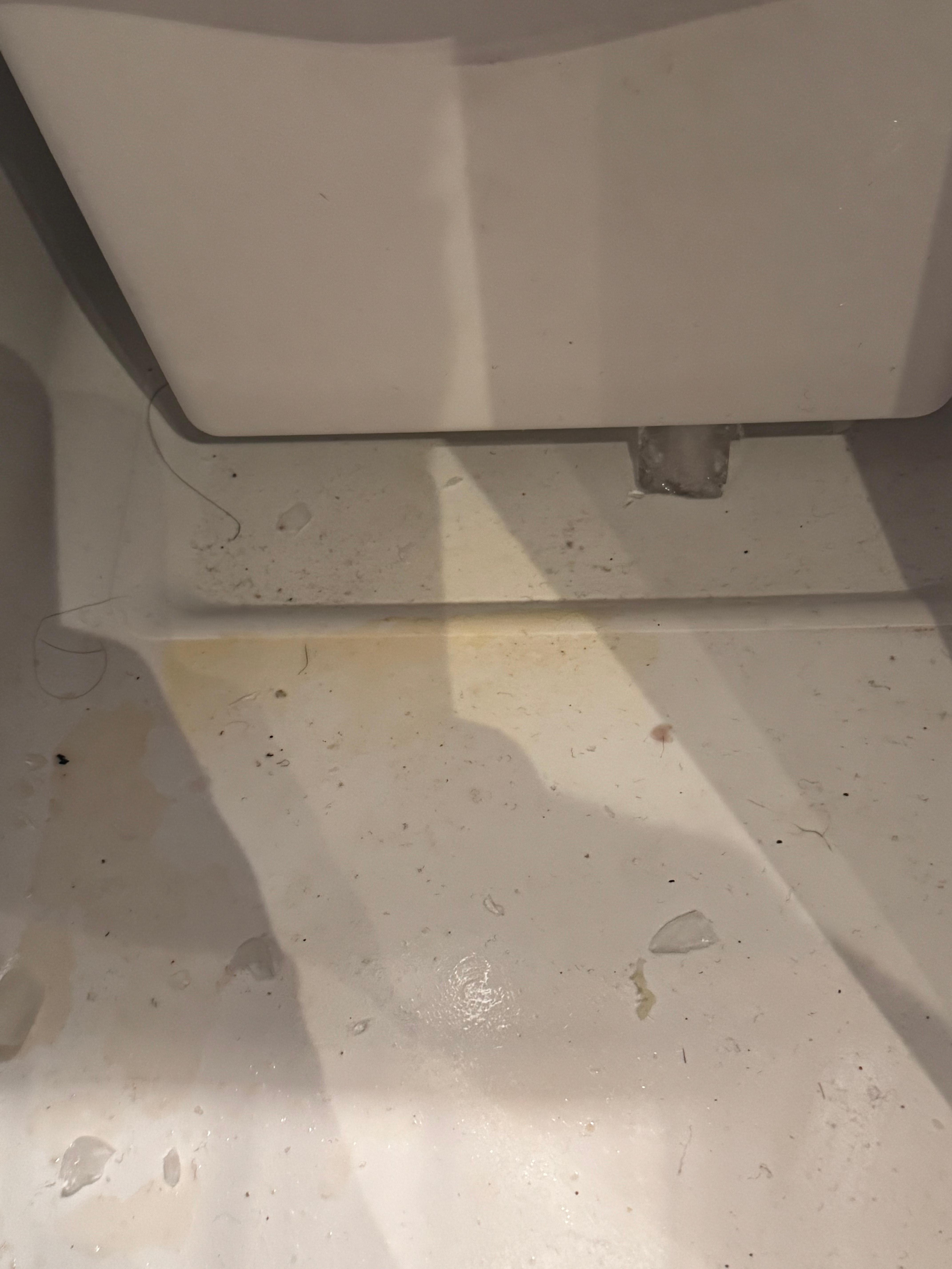 dirty fridge with human hair