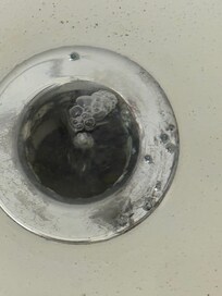 Clogged bathtub full of old hair and pubic hair that floated in the backed up bath water