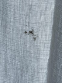 Living room curtains