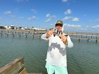 We caught a bunch of black drum
