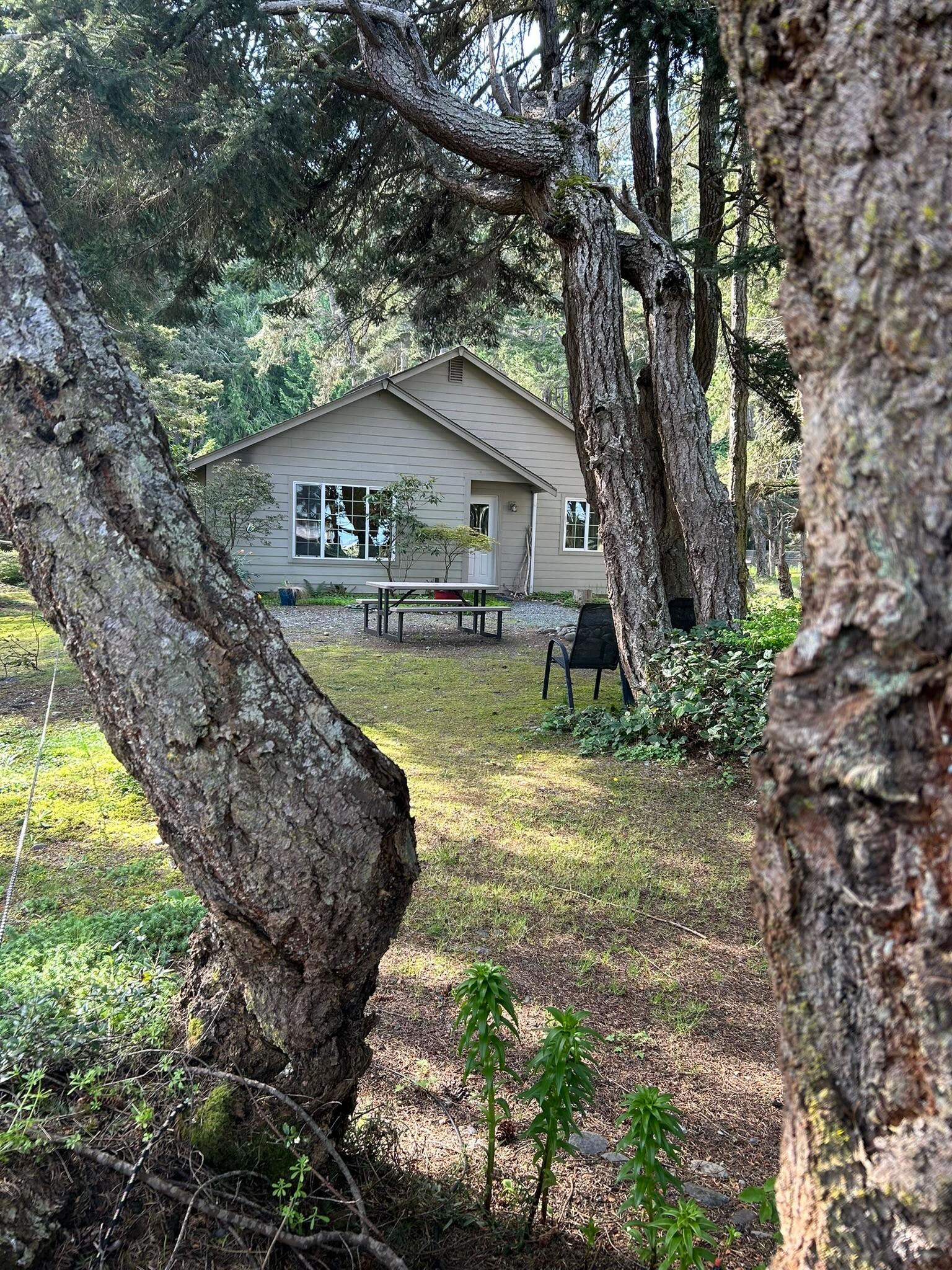 Lovely back yard area.