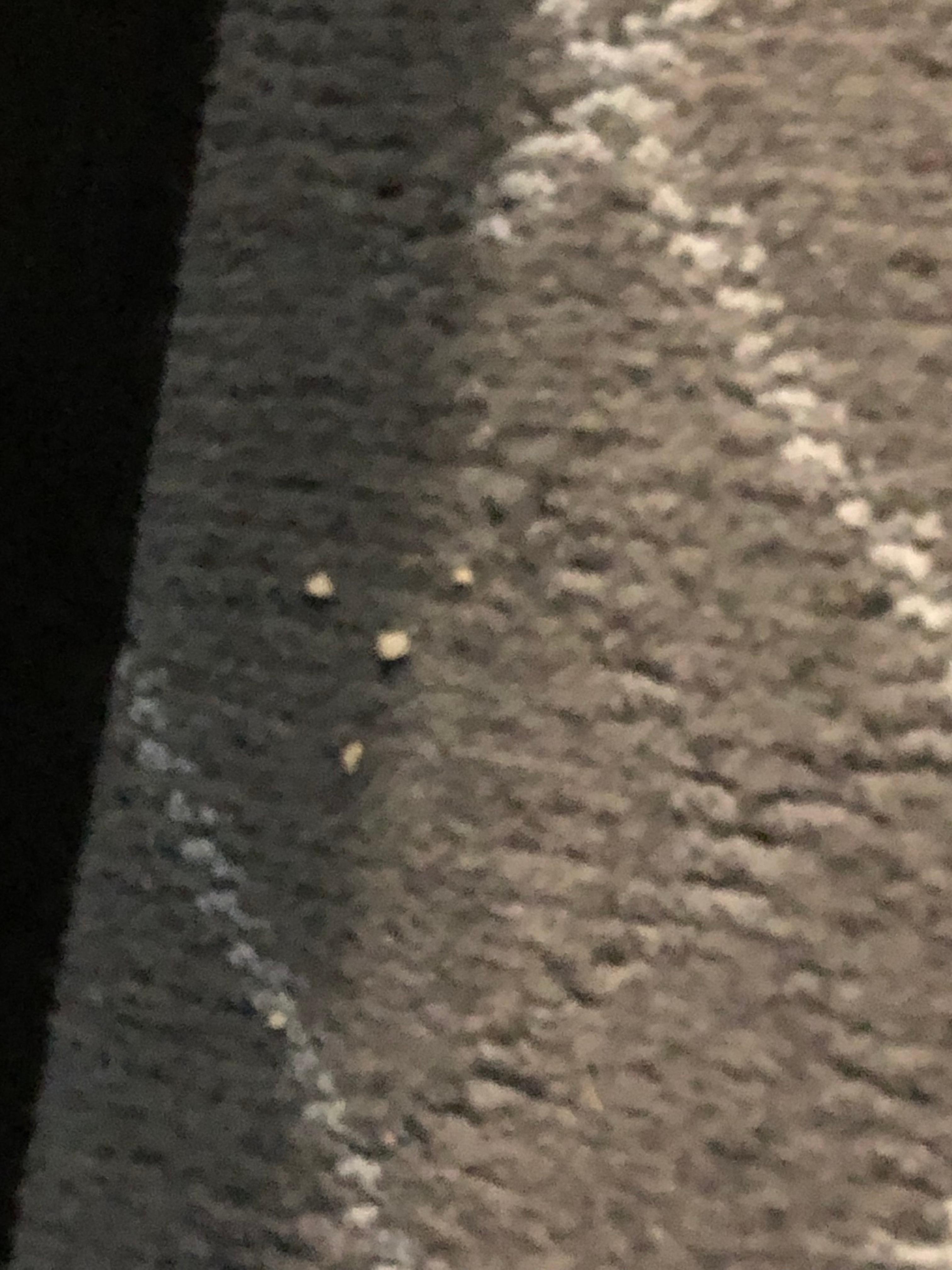 Crumbs on floor, the whole floor was equally dirty