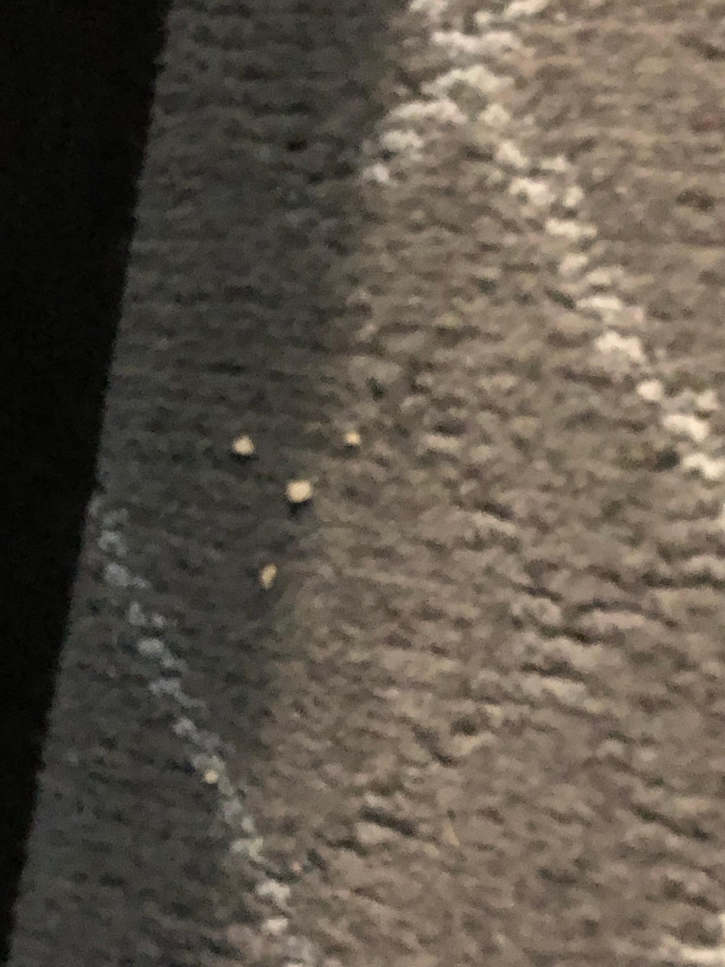 Crumbs on floor, the whole floor was equally dirty