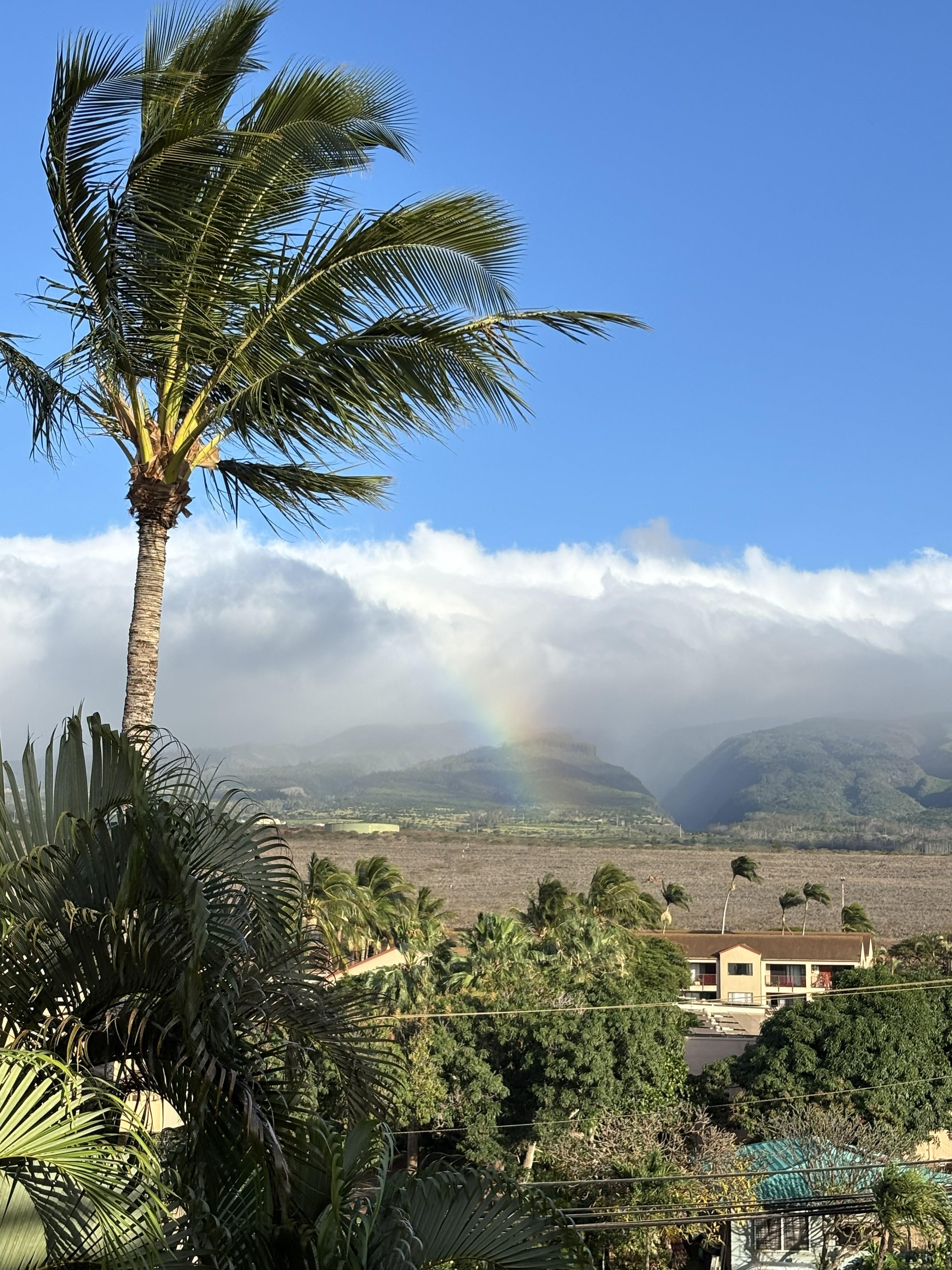 From hallway outside our door