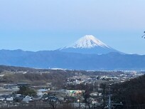View from room.