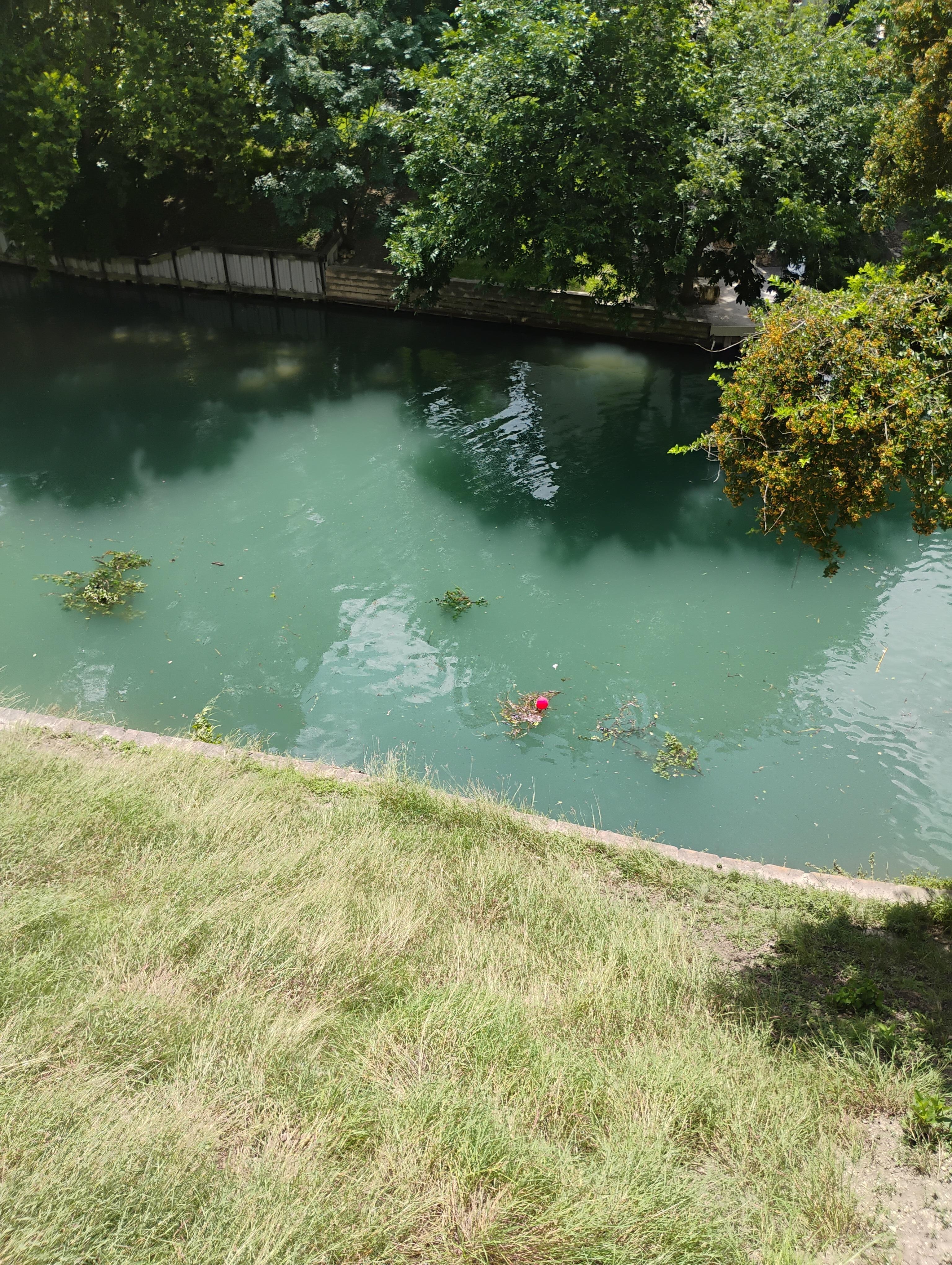 View from back padio