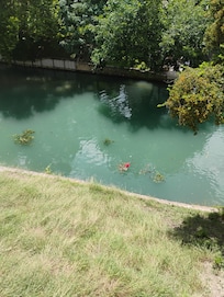 View from back padio