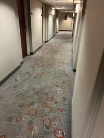 Dirty carpet