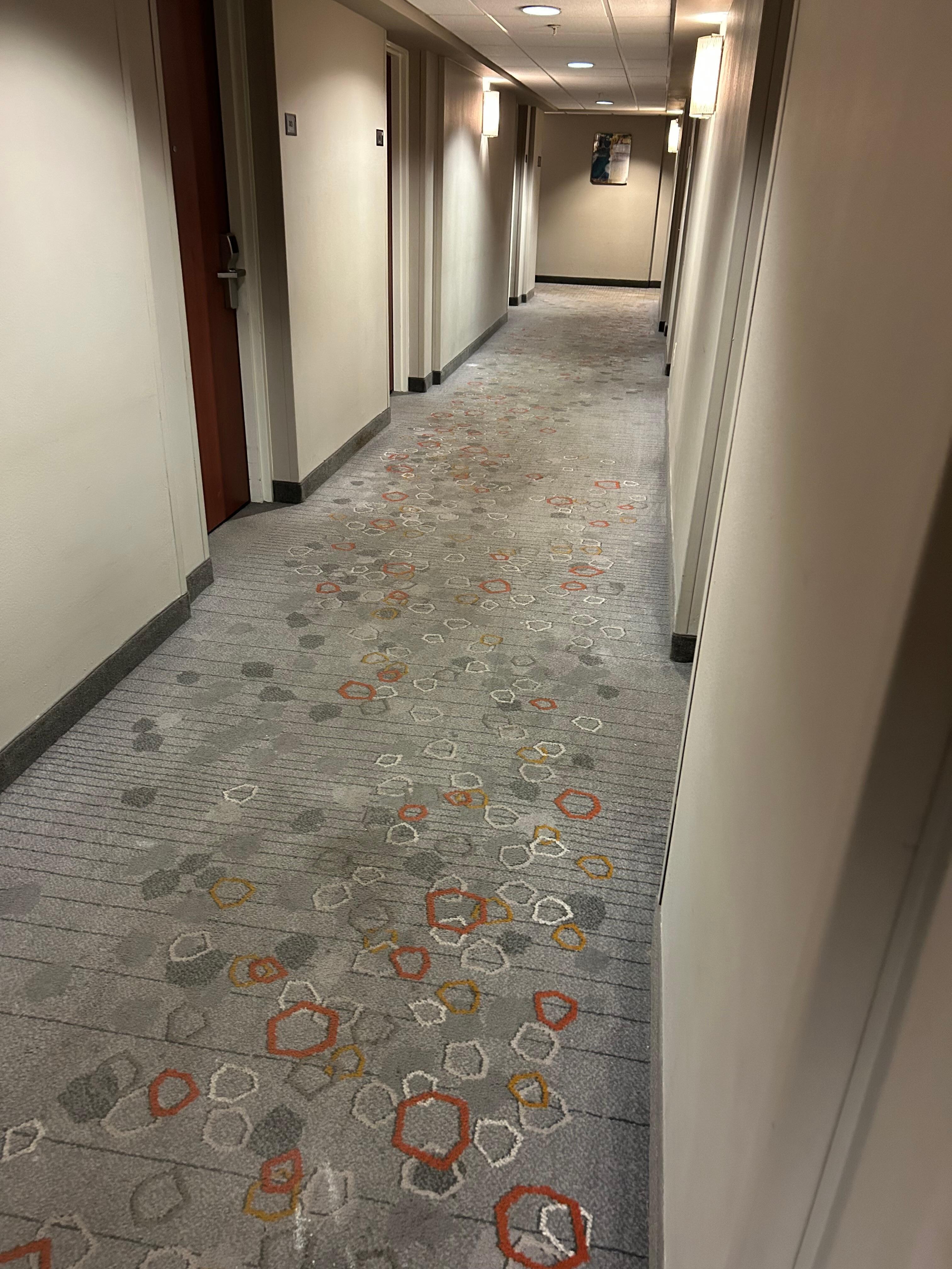Dirty carpet 