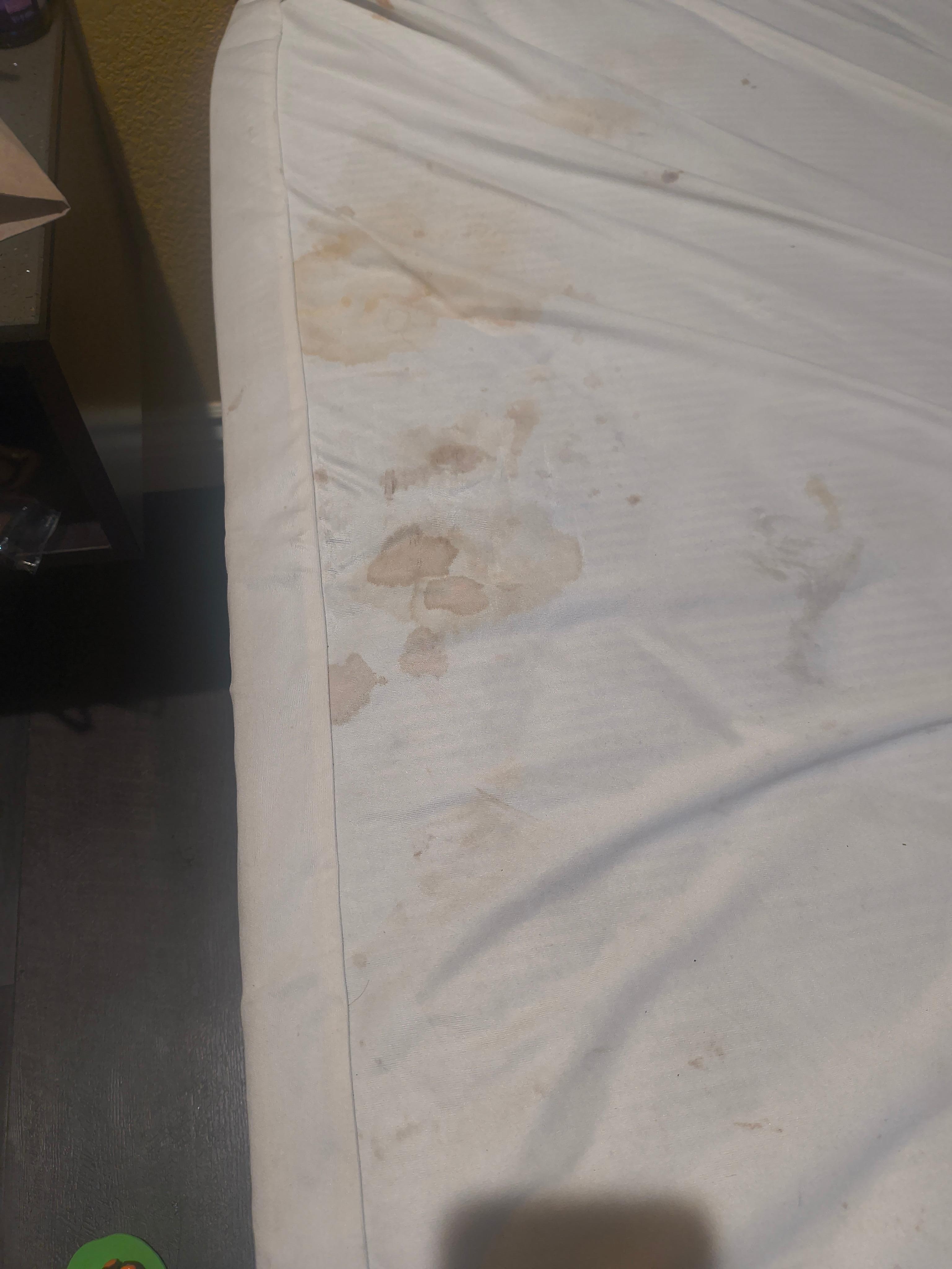 Looks like blood stains on the first picture