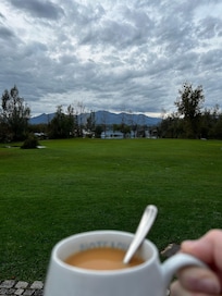 Tea on the patio