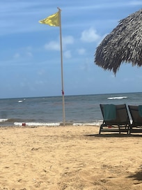 Beach chairs available with shade.