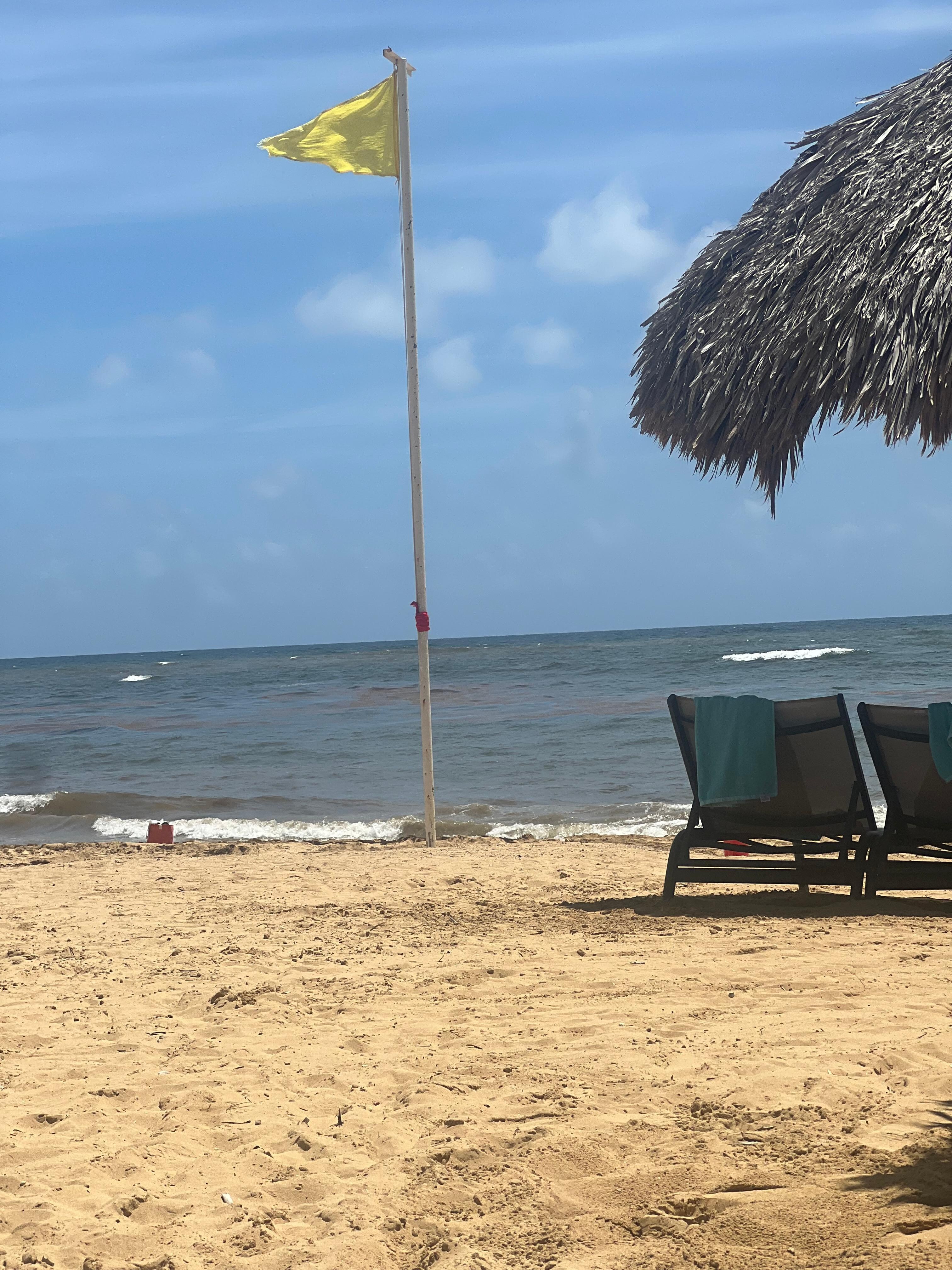 Beach chairs available with shade.