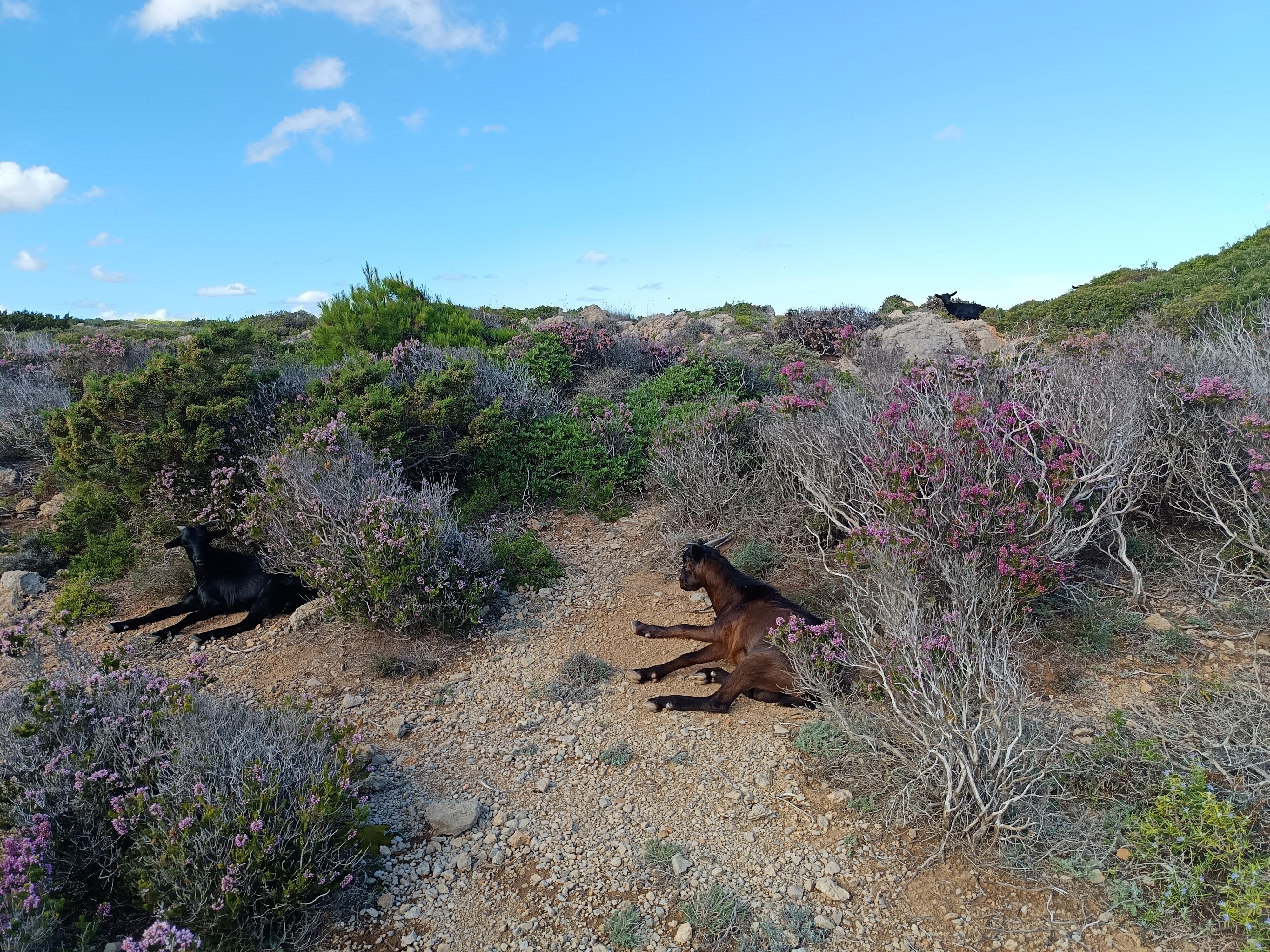 Chemin vers le son parc et ses plages